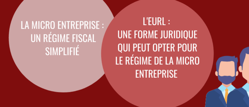 eurl micro entreprise